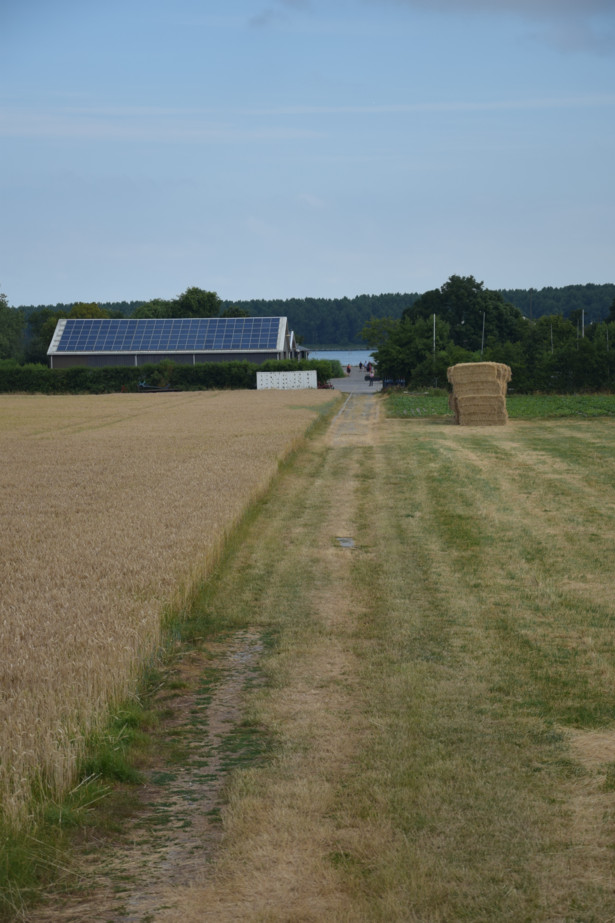 Dutch Roots: Small country, big solutions