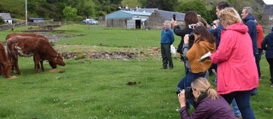 Les journalistes agricoles en immersion dans la culture écossaise